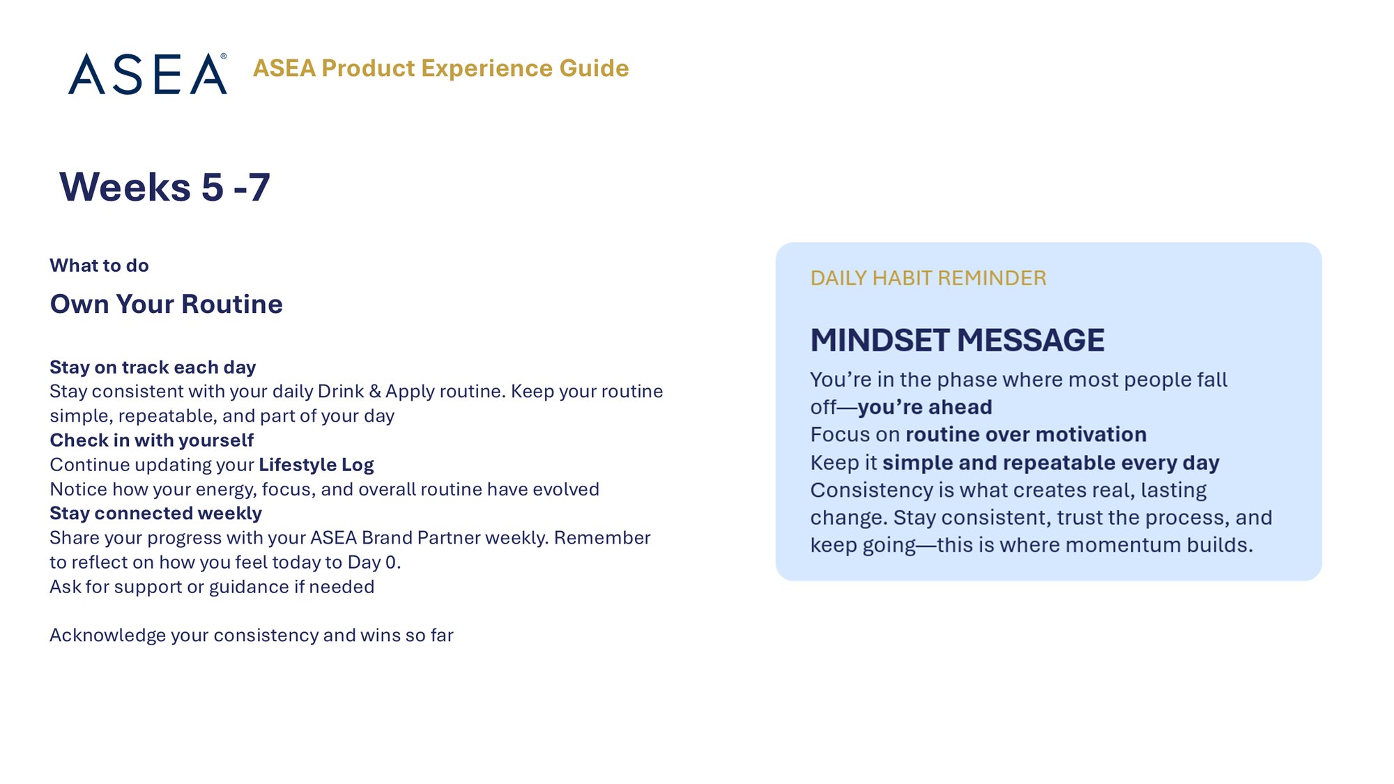 CONSUMER PRODUCT EXPERIENCE Week 5-8 (3)