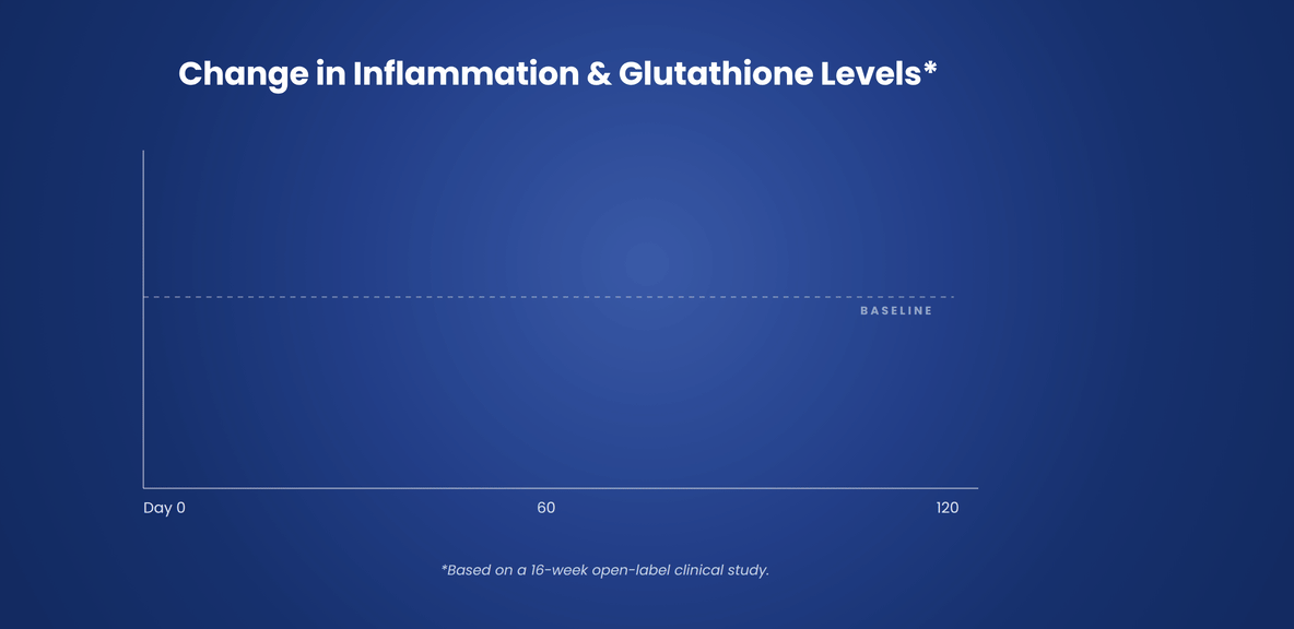 ARS inflammation_glutathione_animation 1