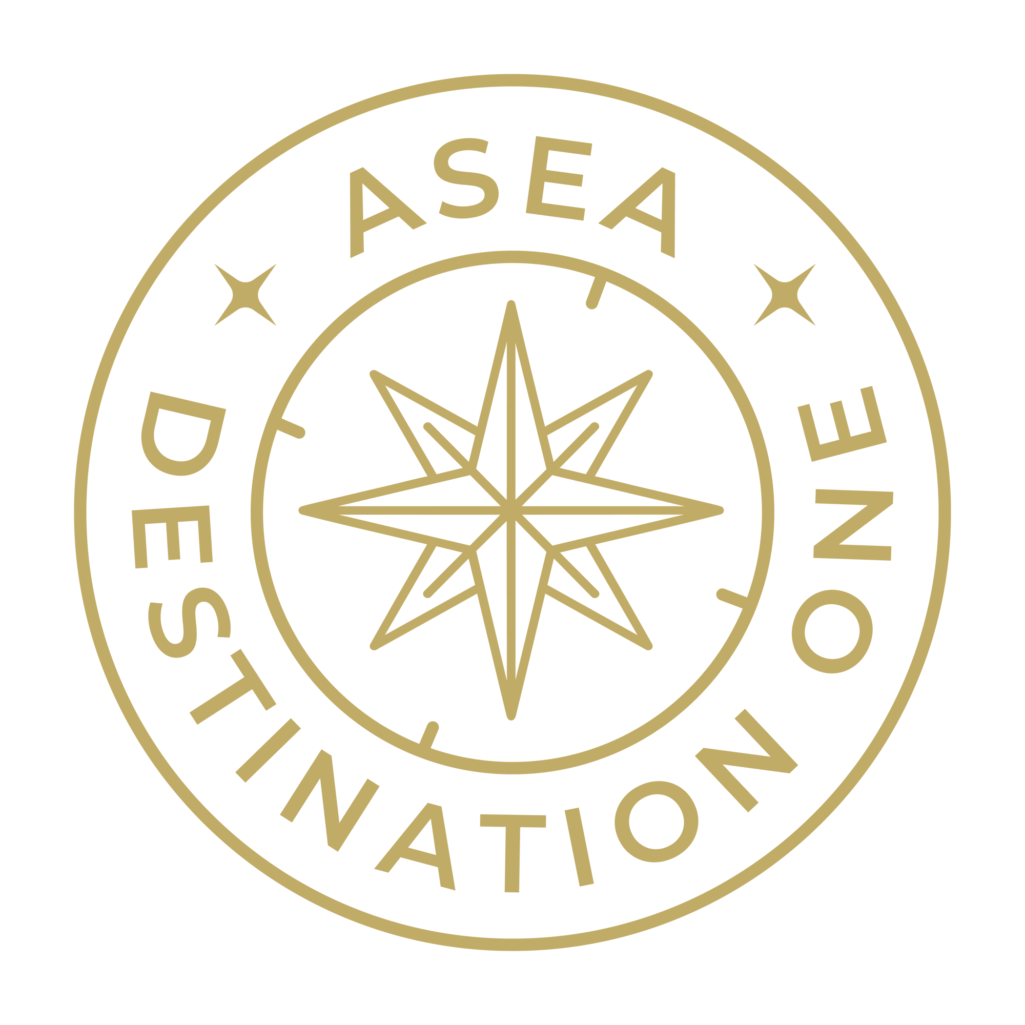 ASEA Destination Logo