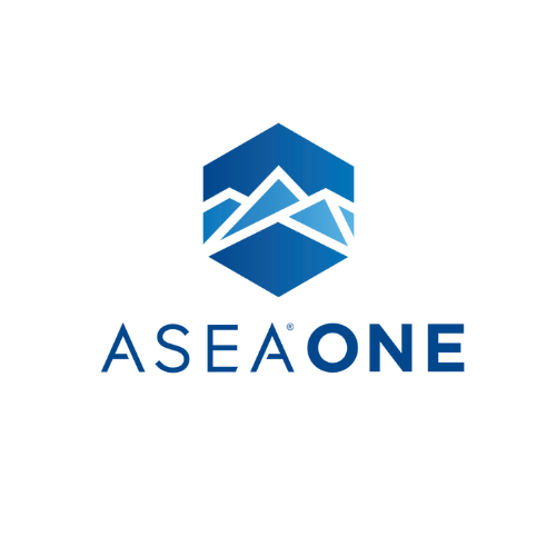 _Blue Modern Letter X Business Company Logo Design (2)