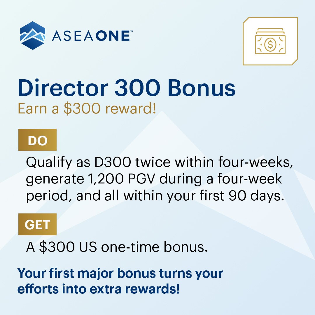 Director 300 Bonus 1080