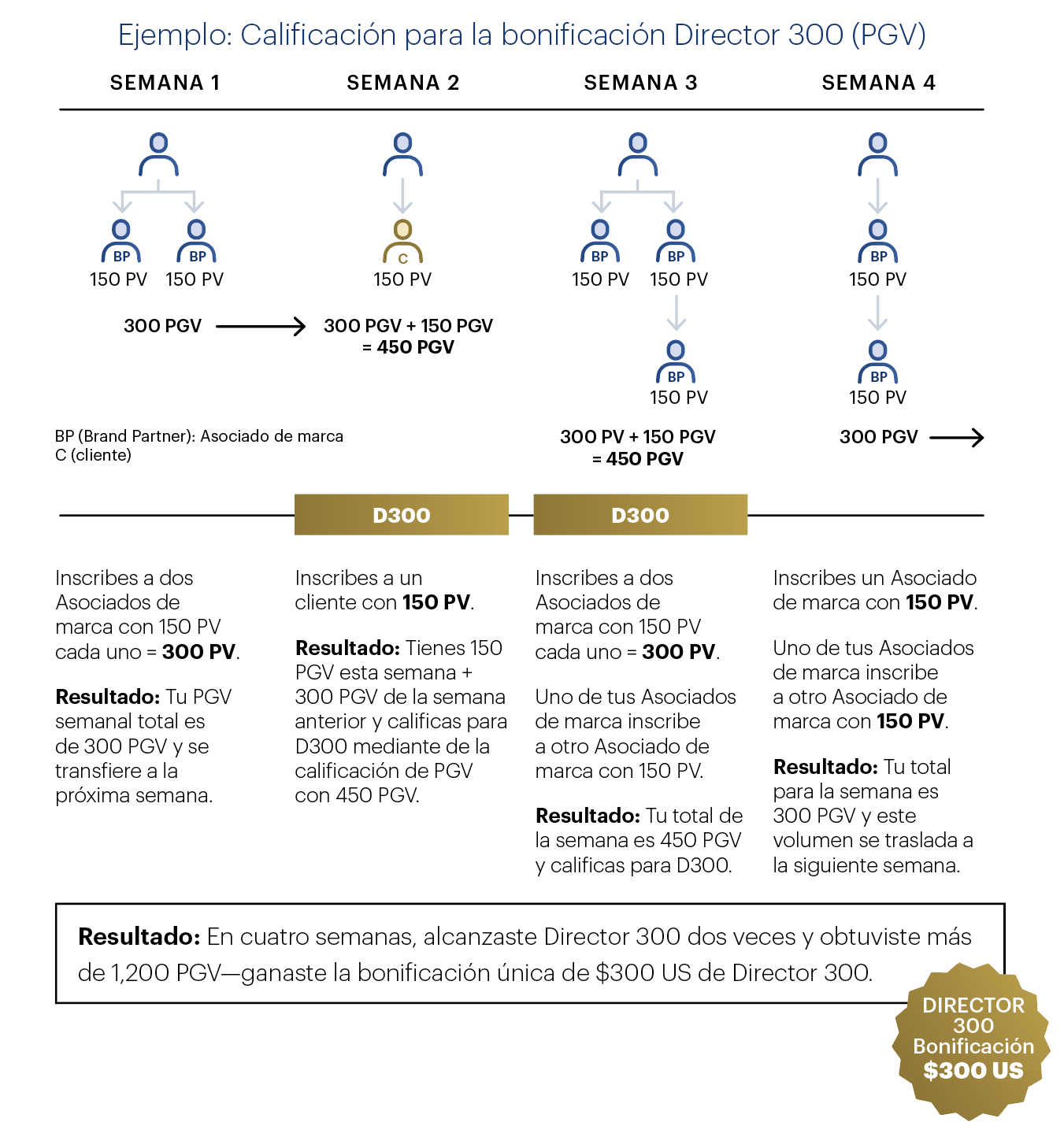 Director 300 Bonus ES