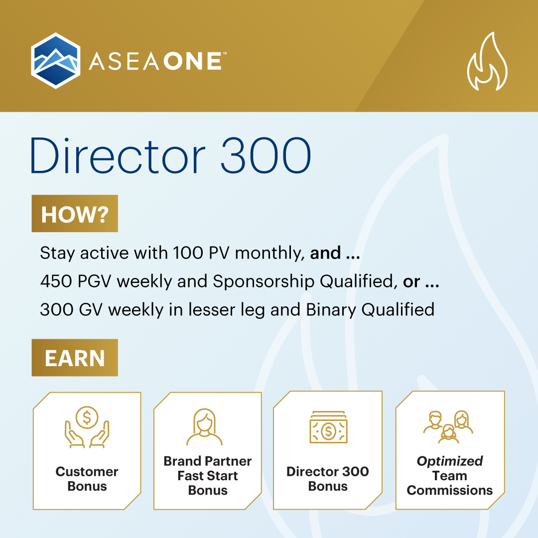 Rank Director 300 1080