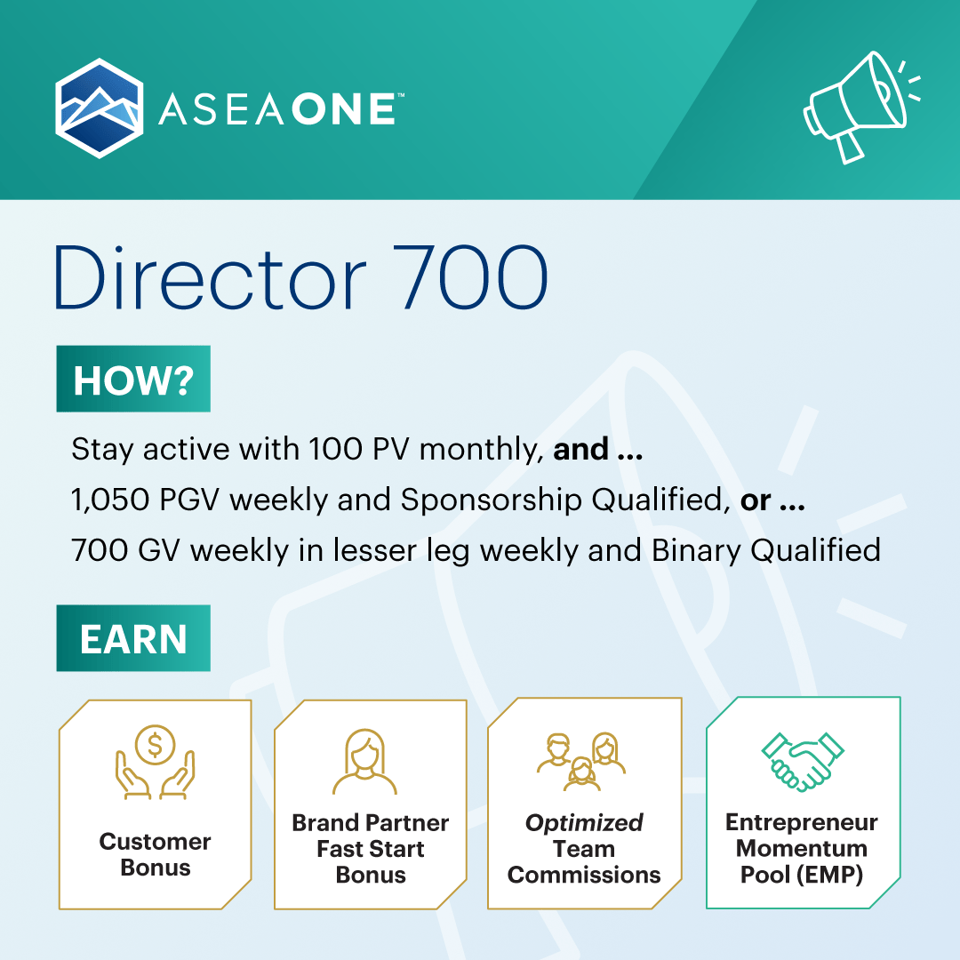 Rank Director 700 1080