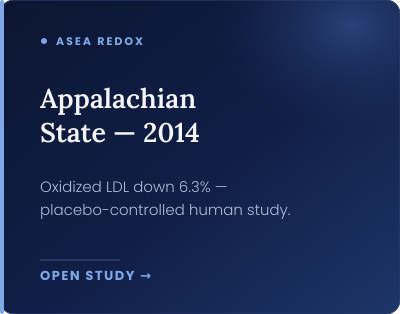 04-appalachian-state-2014