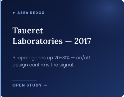 05-taueret-laboratories-2017