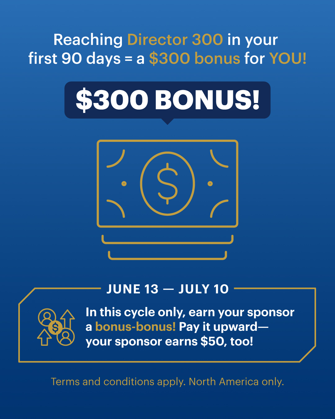 D300 Bonus English