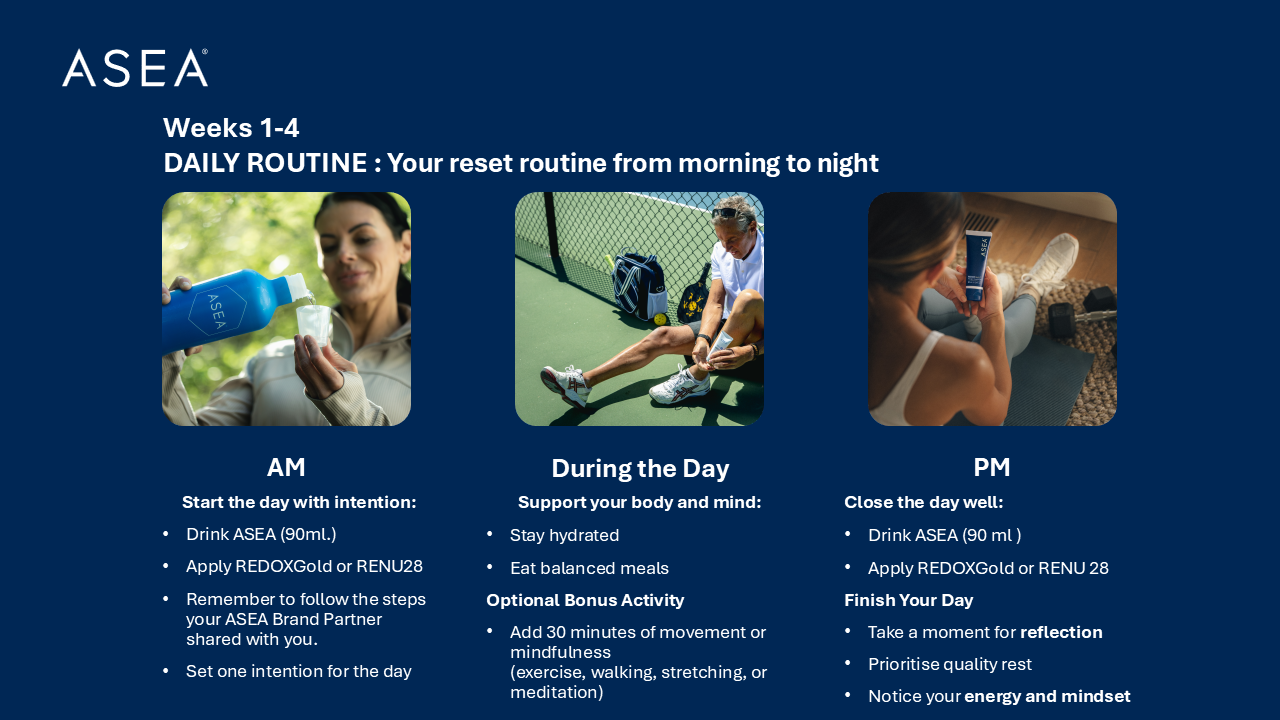 Daily Routine