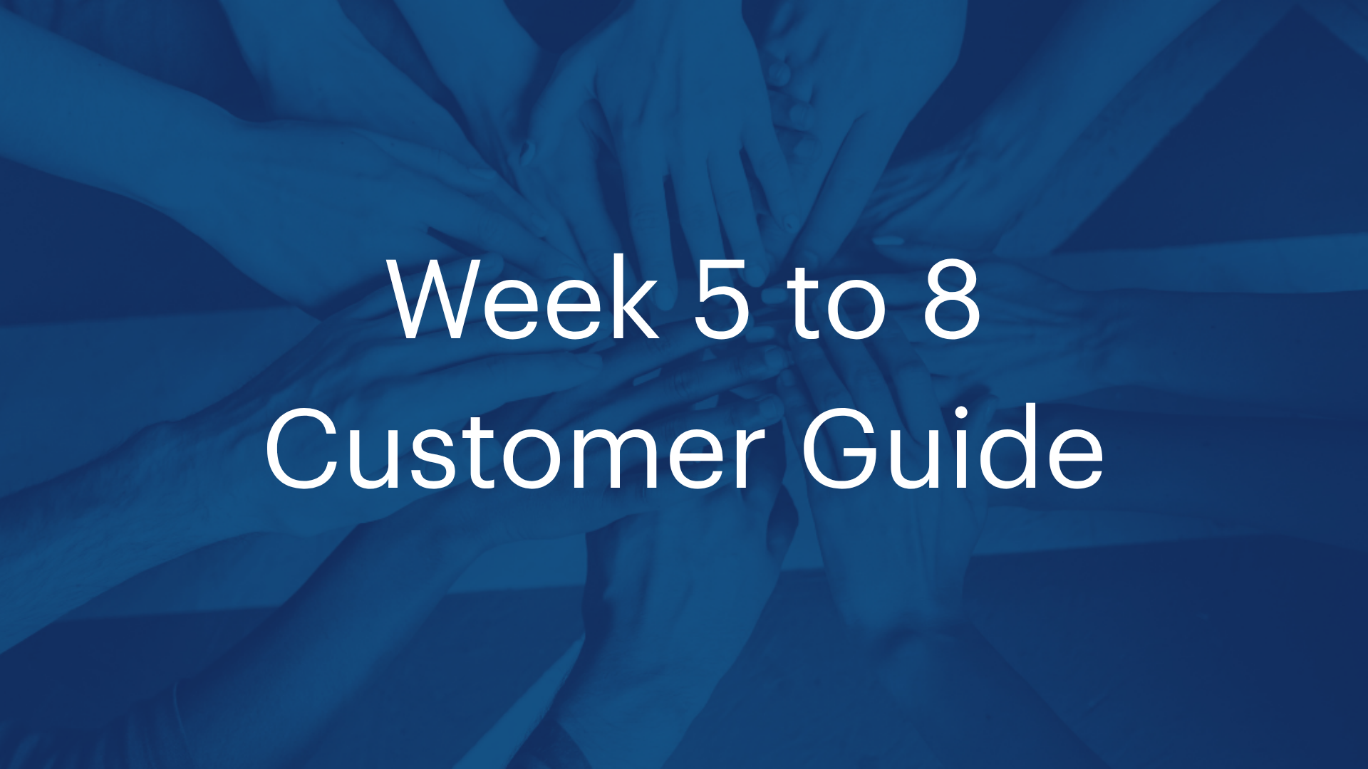 Week 5 to 8 Guide (C)