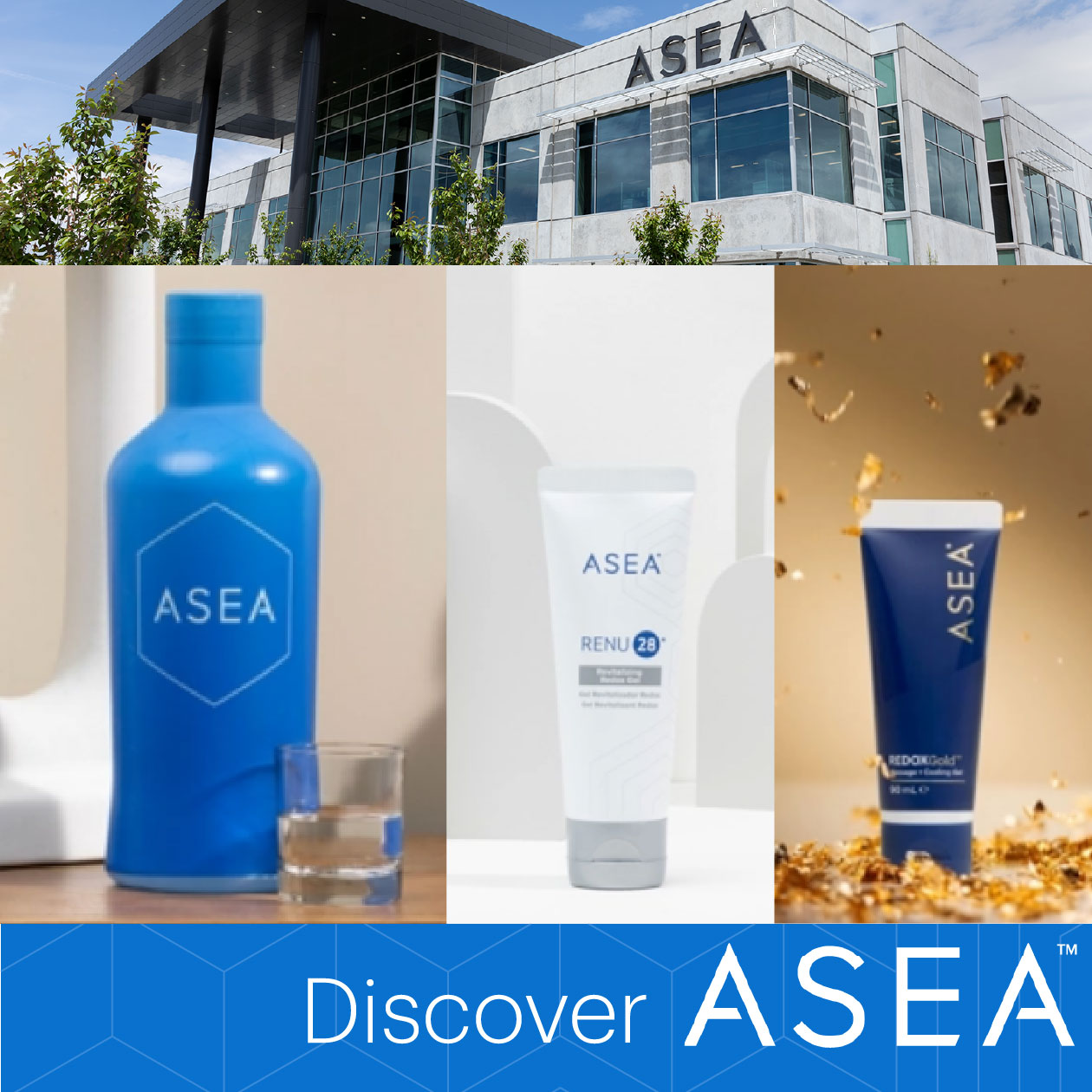 Discover Asea Online banner 2