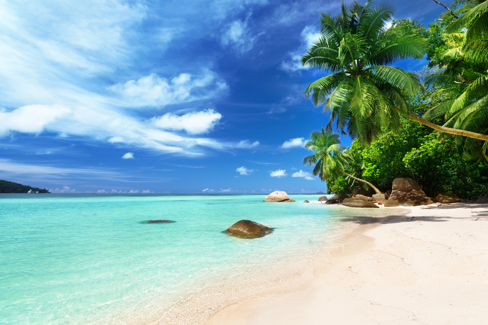 beach on Mahe island, Seychelles beach on Mahe island, Seychelles